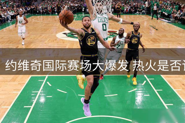 约维奇国际赛场大爆发 热火是否该重新考虑其角色定位
